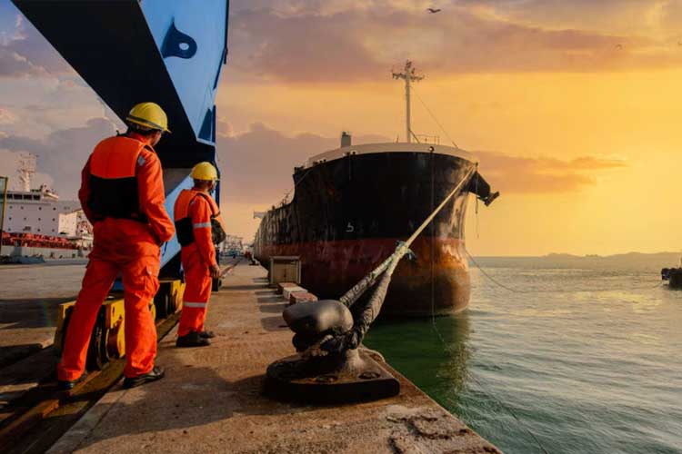 Shipping Protection - Husbandry Services